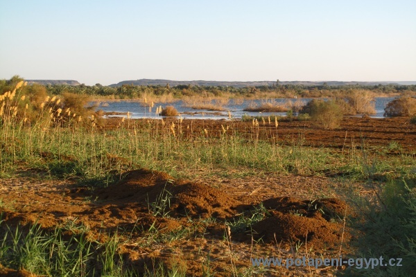 Baharia Oasis, Bawiti