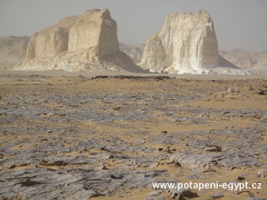 White Desert, Mushrooms