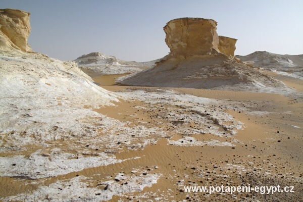 White Desert, Mushrooms