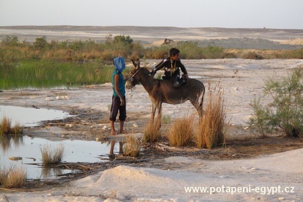 Farafra Oasis, Qasr Al Farafra