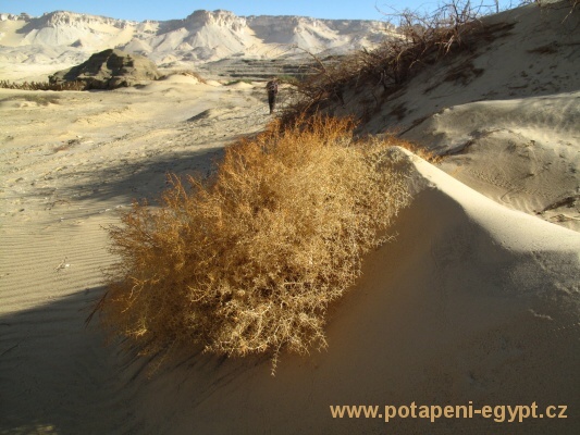 Dakhla Oasis, Bir Al Gebel