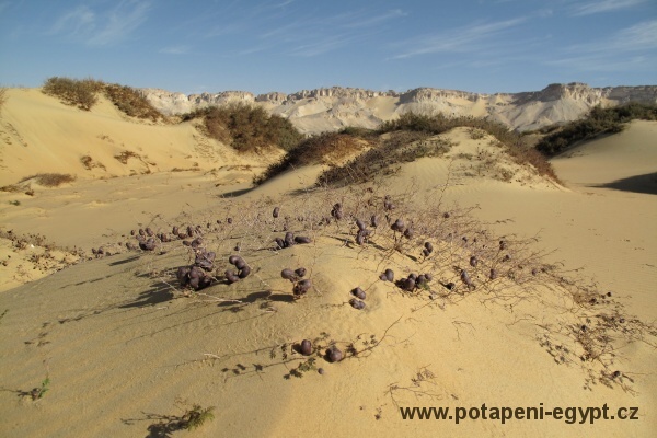 Dakhla Oasis, Bir Al Gebel