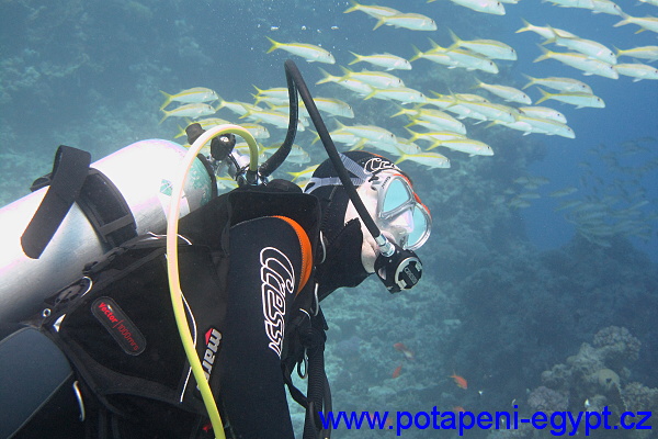 Hurghada, Gota Abu Ramada - Baracuda