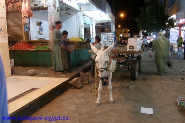 Tržiště v Hurghadě / Hurghada marketplace