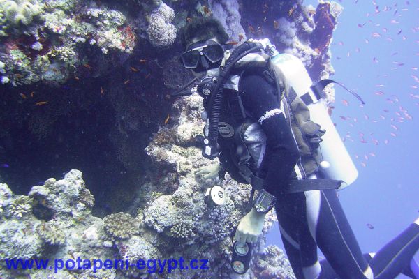 Potápění u Hurghady / Diving in Hurghada