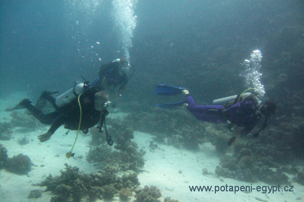 Hurghada, Fanadir South - korlov zahrdka/coral garden