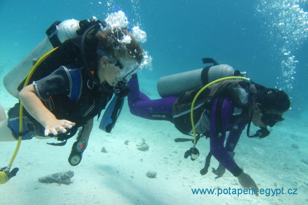 Hurghada,  kurz potpn / diving course