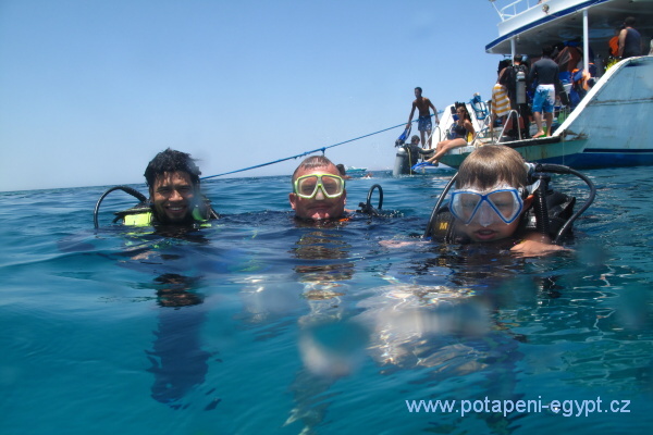 Hurghada, Gota Abu Ramada West - Kareta prav / Sea Turtle